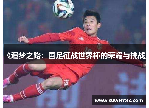 《追梦之路：国足征战世界杯的荣耀与挑战》