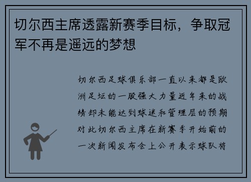 切尔西主席透露新赛季目标，争取冠军不再是遥远的梦想