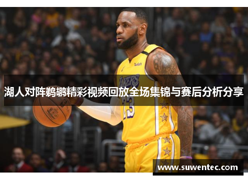 湖人对阵鹈鹕精彩视频回放全场集锦与赛后分析分享
