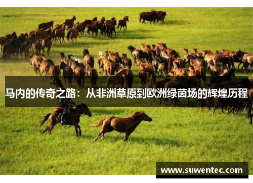 马内的传奇之路：从非洲草原到欧洲绿茵场的辉煌历程