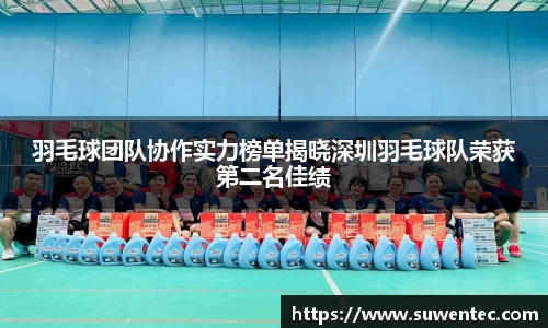 羽毛球团队协作实力榜单揭晓深圳羽毛球队荣获第二名佳绩